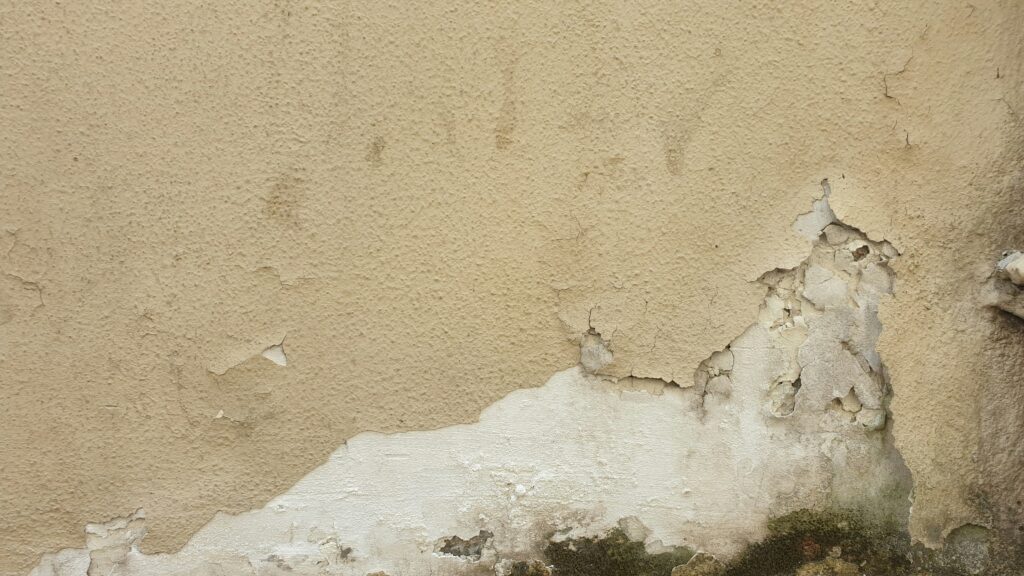 Cracked Cream Wall With Mold and Mildew Growing Up It