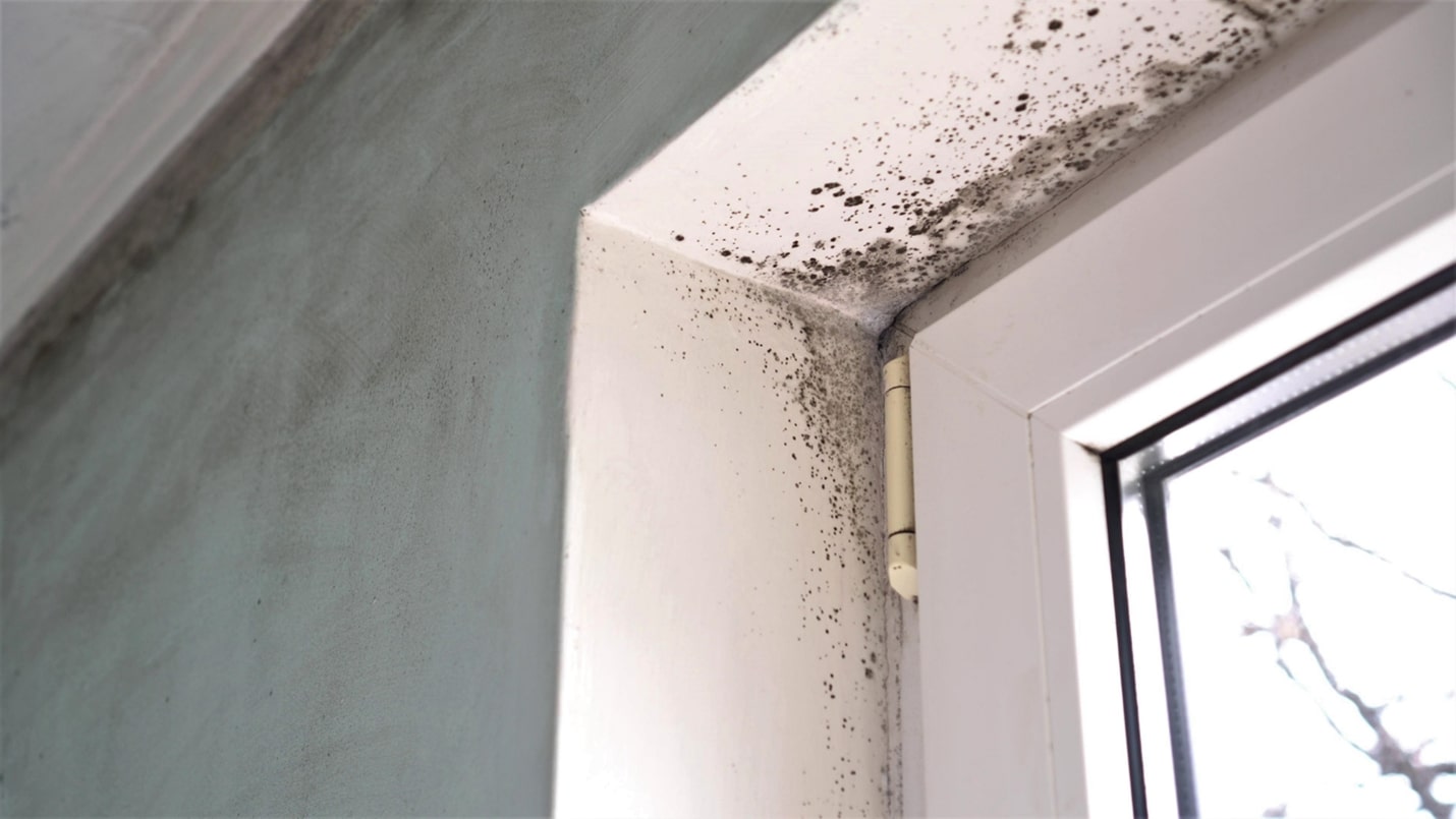 On the doorframe above a door, spots of black colored mold grow.