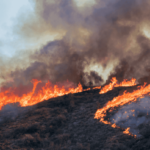 A wildfire burning on a California hillside and producing large amounts of smoke.