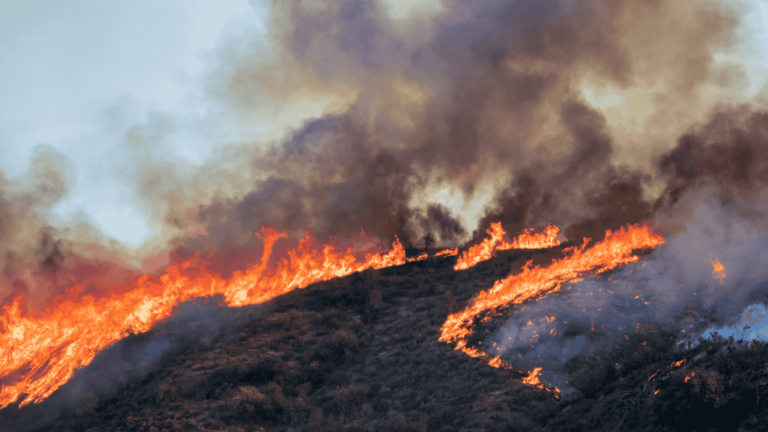 A wildfire burning on a California hillside and producing large amounts of smoke.