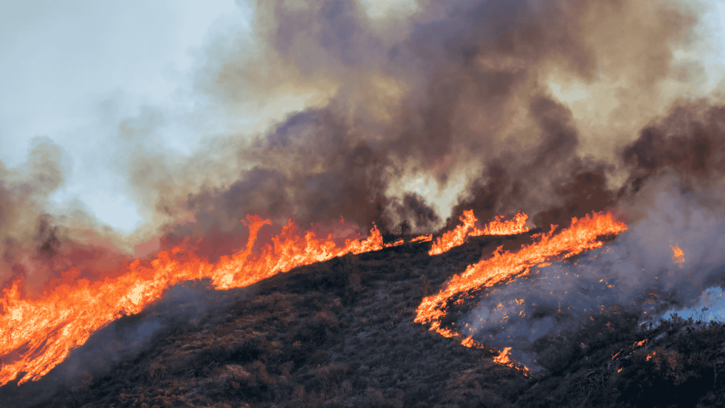 A wildfire burning on a California hillside and producing large amounts of smoke.