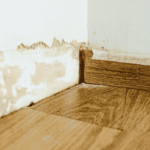 A large patch of water damage on the floor near the floorboards.