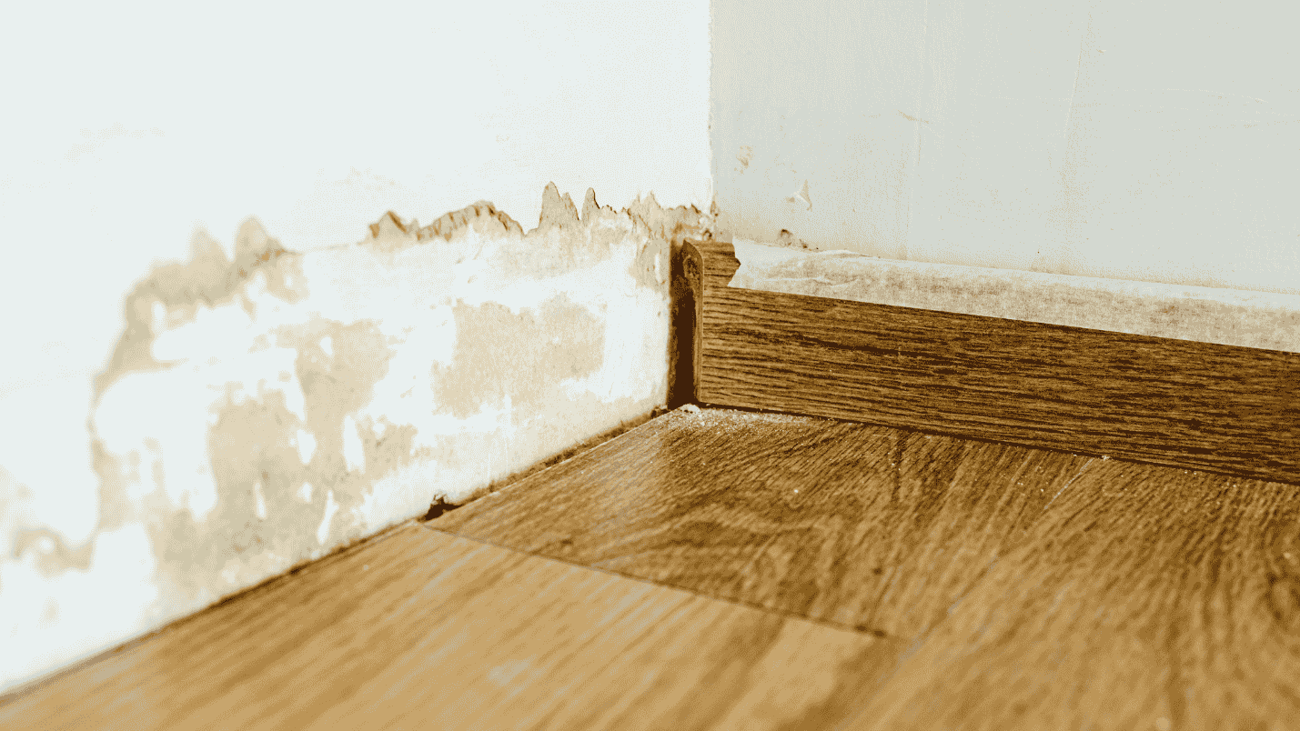 A large patch of water damage on the floor near the floorboards.