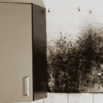 A very large patch of dark mold growing on a bathroom wall.