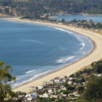 A coastline with bright blue water in Marin County with many homes along the hillside.