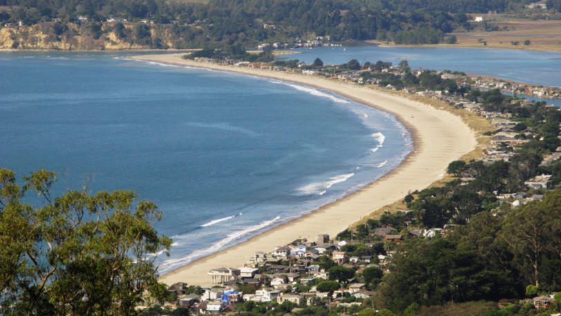 A coastline with bright blue water in Marin County with many homes along the hillside.